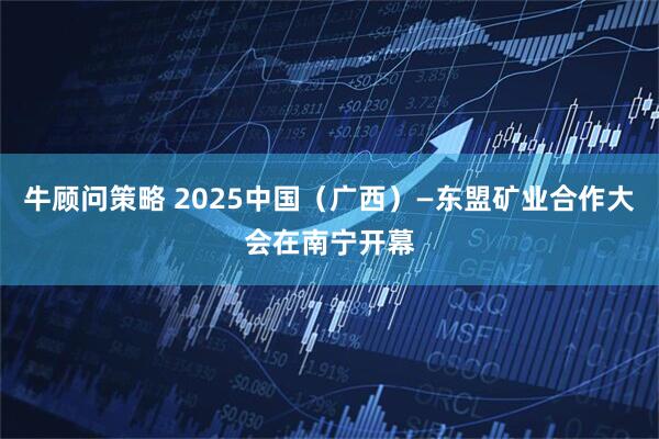牛顾问策略 2025中国（广西）—东盟矿业合作大会在南宁开幕
