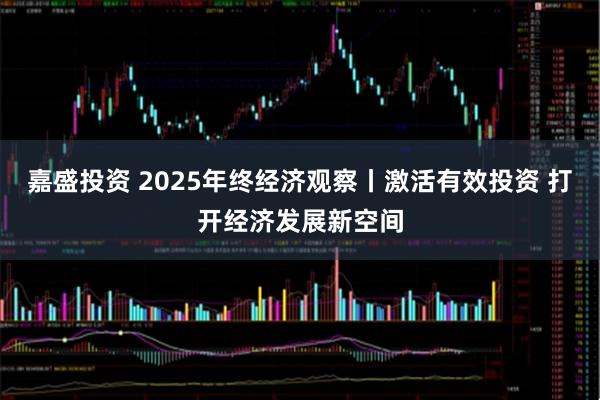 嘉盛投资 2025年终经济观察丨激活有效投资 打开经济发展新空间